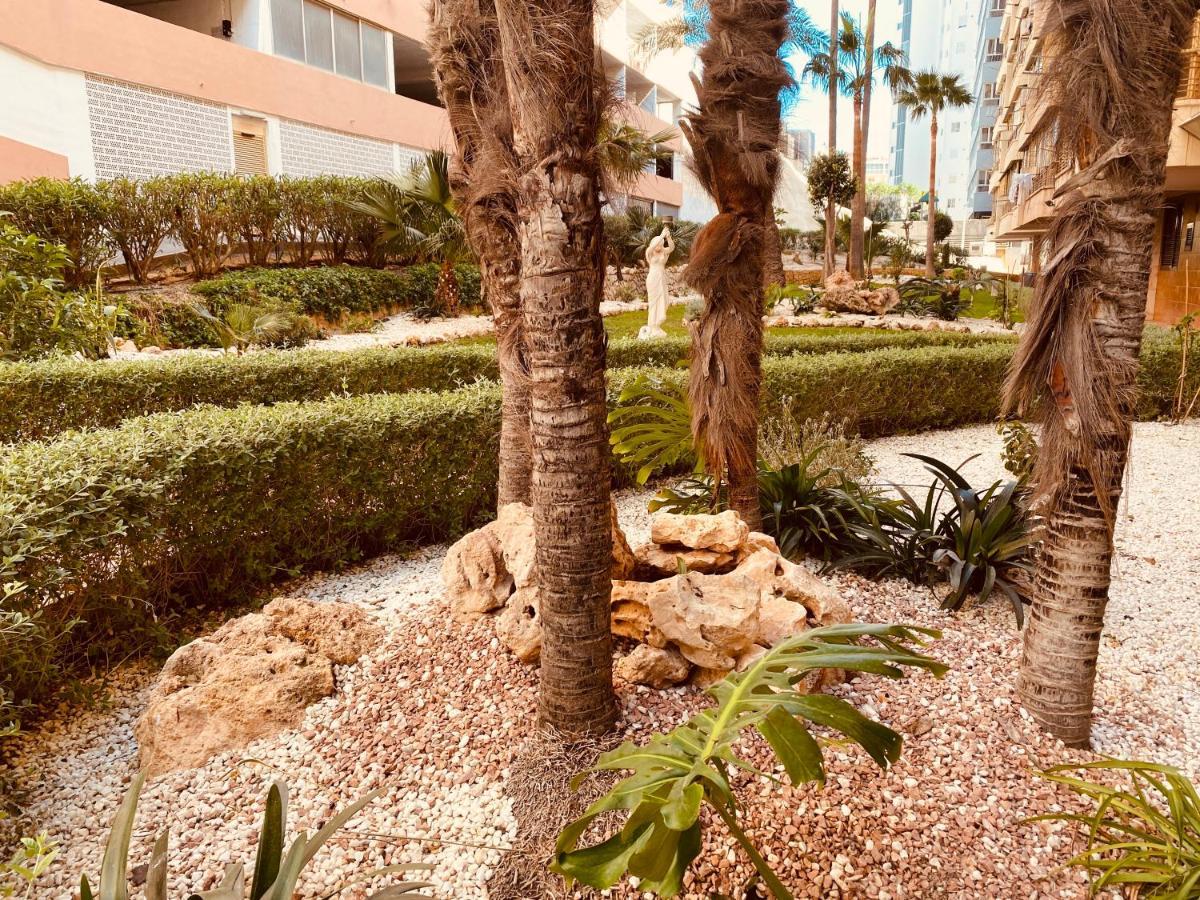 Be Luxury Apartment 20 Mts From The Beach Бенидорм Экстерьер фото